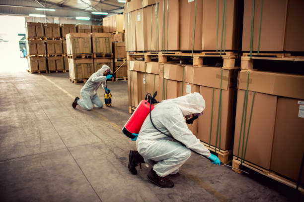 Best Pest Prevention Services  in Choctaw, OK