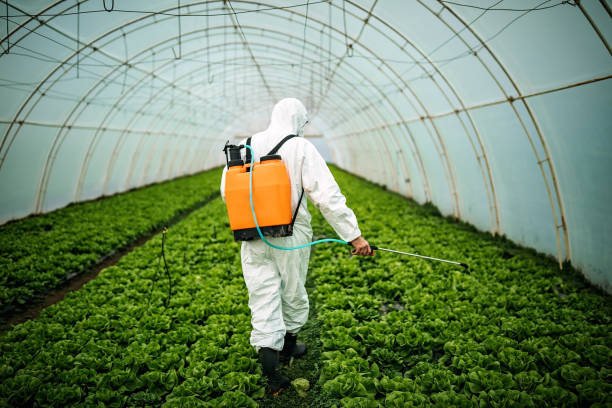 Best Affordable Exterminators  in Choctaw, OK