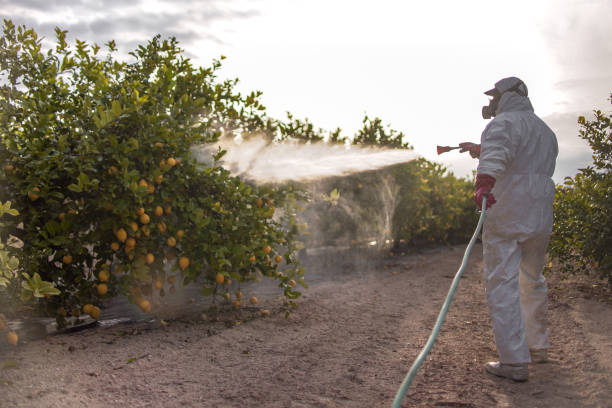 Best Pest Control Near Me in Choctaw, OK