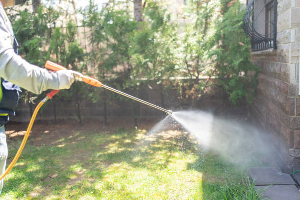 Best Insect Control  in Choctaw, OK