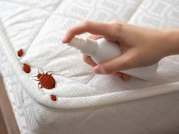 Best Pest Removal Services  in Choctaw, OK