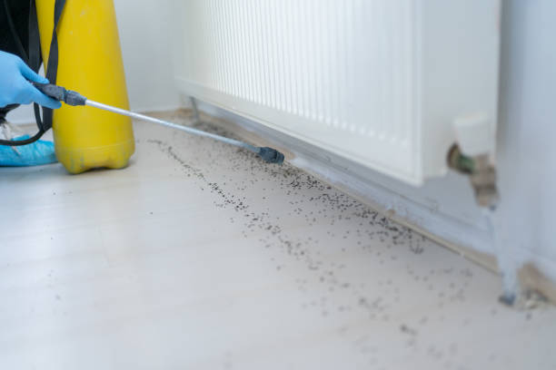 Trusted Choctaw, OK Pest Control Experts